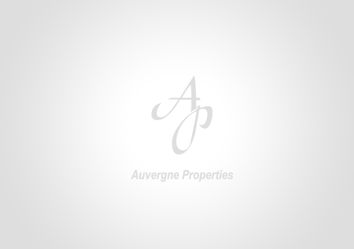 Renovation projects Auvergne properties